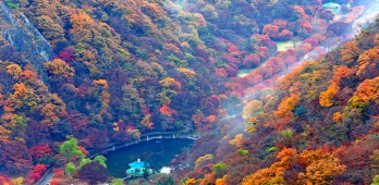 10 Điểm du lịch ngắm lá mùa thu đẹp nhất ở Hàn Quốc 2022