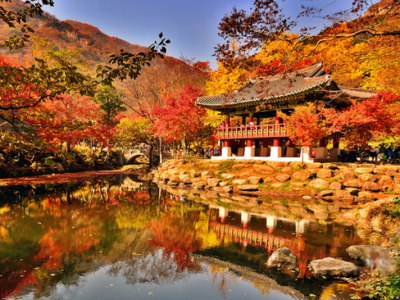 10 Điểm du lịch ngắm lá mùa thu đẹp nhất ở Hàn Quốc 2022
